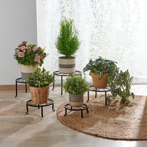 5 kvetinových stoličiek na rastliny